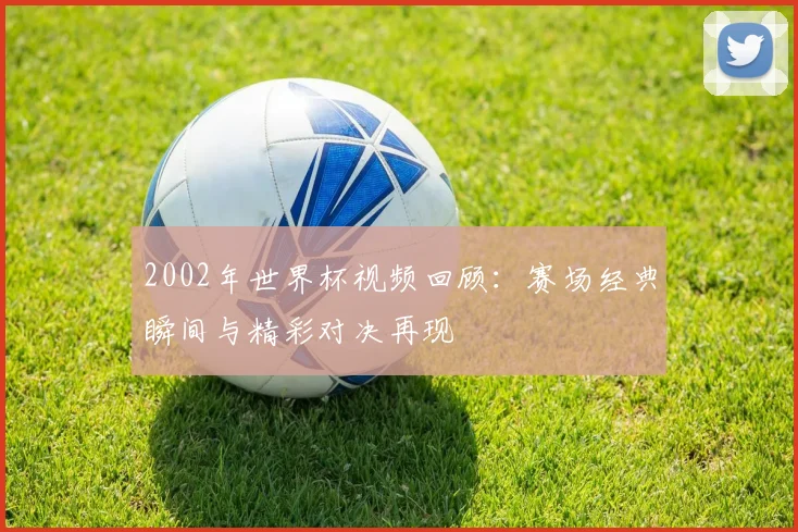 2002年世界杯视频回顾：赛场经典瞬间与精彩对决再现