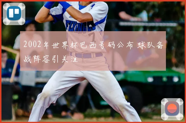2002年世界杯巴西号码公布 球队备战阵容引关注